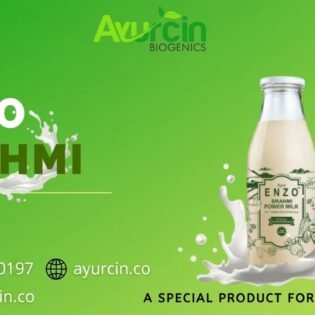 Ayur Enzo Power Milk Brahmi